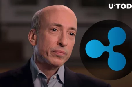 Ripple Policy Head Reveals Crucial Flaw in SEC Boss’s Crypto Views