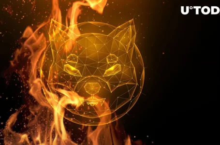 1.1 Billion SHIB Gets Destroyed, Shiba Inu’s Burn Rate Spikes to Millions Percent