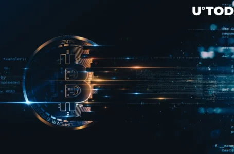 Here’s How Bitcoin (BTC) Became Centralized: Explained by Cyber Capital CIO