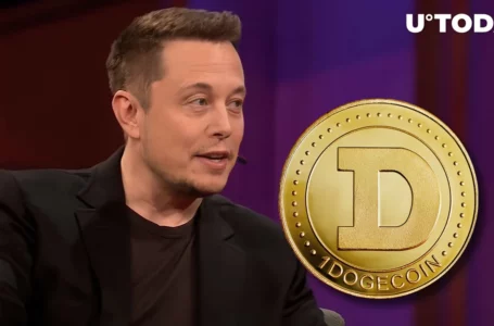 DOGE Price up as Elon Musk Shares New Tweet About Dogecoin