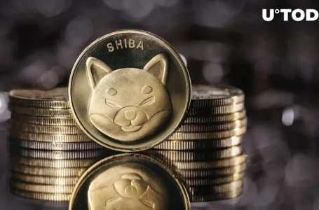 Around $1 Billion Shiba Inu (SHIB) Moved in One Day, But What’s Really Behind Those Transactions?