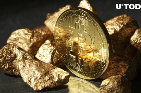 Bernstein Calls Bitcoin (BTC) “Faster Horse” Compared to Gold