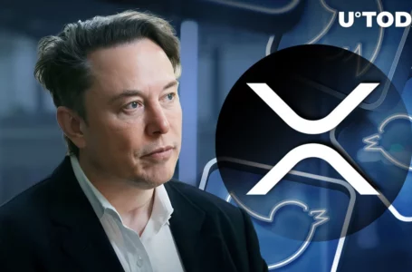 Elon Musk’s Tweet Grabs XRP Community’s Attention, Here’s What He Tweeted