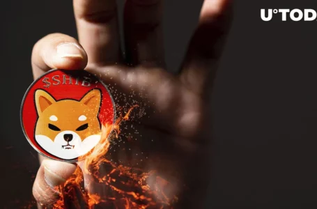 SHIB Army Burns 28 Million Shiba Inu, Here’s How Much SHIB Still to Go