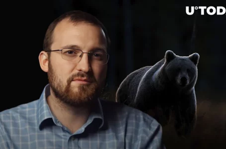 ADA Price Takes Dip After Cardano Founder Unveils Bear Statue