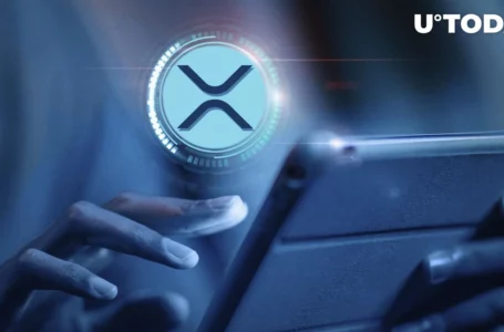 Close to Half Billion XRP Shoveled by Anon Wallets as Price Keeps Holding in $0.5 Range