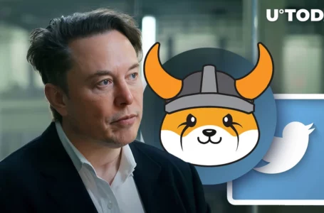 Elon Musk Says ‘Floki’ Took Over Twitter, Guess What Happened With Floki Inu (FLOKI)