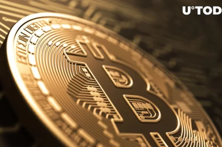 23,500 Bitcoin (BTC) Moved in Fourth Largest Transaction of 2023, Here’s Price Reaction