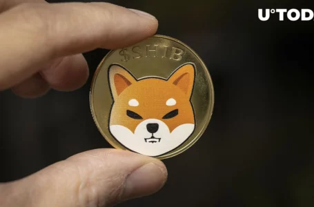 Shiba Inu (SHIB) On-Chain Metrics Show Mysterious Patterns: Details