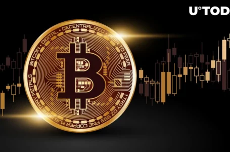 Bitcoin Network Shows High Potential for BTC Price Surge: Analyst