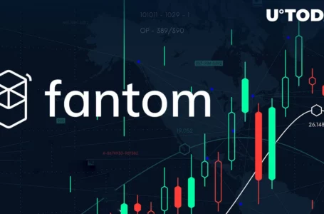 Fantom (FTM) up 13%, Here’s Why FTM Has Been Trending This Week