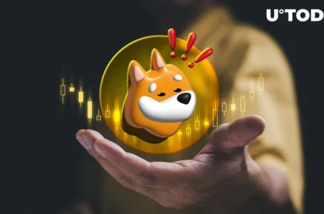 Shiba Inu Ecosystem on Rise: BONK Hits 6.2% Price Spike