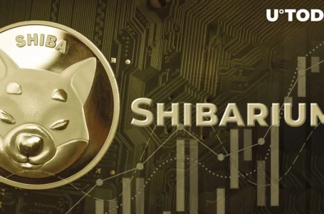 Shibarium Hits Jaw-Dropping Milestone as SHIB Wallet Count Jumps 10x