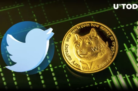 Dogecoin (DOGE) Price Skyrockets as Twitter Green Lights Crypto Trading