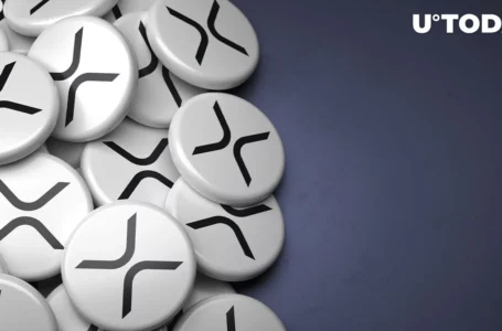 Here’s Why XRP Might Send Top Cryptocurrencies to Valhalla, Explains Top Crypto Trader