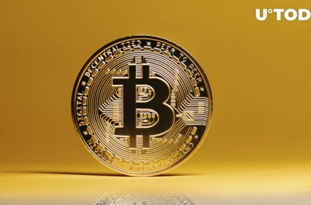 Bitcoin (BTC) May Be in for Short-Term Price Correction, Analyst Warns