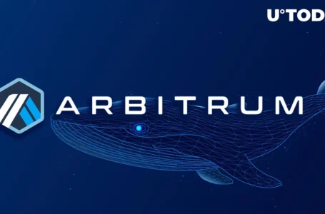 Overhyped Arbitrum (ARB) Proposal AIP 1.05 Failed, Here’s What Whales Say