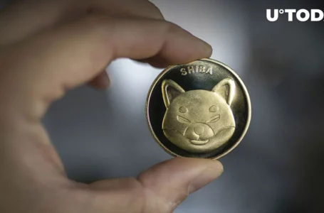 Shiba Inu (SHIB) Overtakes BUSD Market Cap, Eyes LTC Next