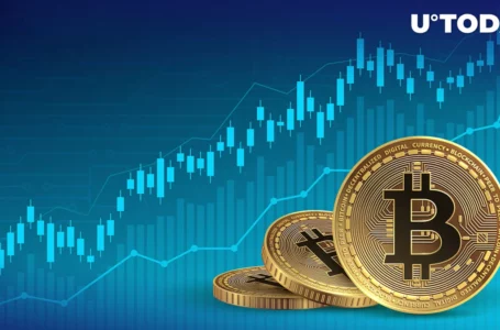 Is Bitcoin’s Rally to $30,000 the Start of a New Crypto Boom?