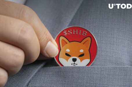 Shiba Inu Holders Break Records: Number of Long-Term SHIB Investors Becomes Unprecedented