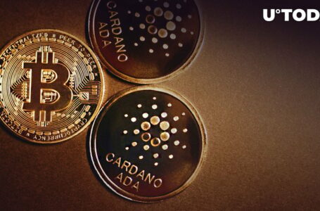 Cardano Marks Historic Milestone as Non-Custodial Wrapped BTC Mints on Network