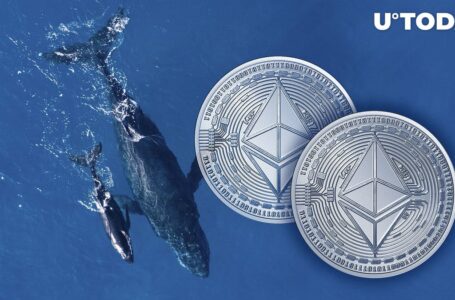 Ethereum (ETH) Jumps to New 11-Month High, Here’s Why This Is Whale Driven