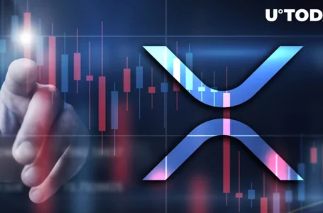 XRP Loses 7% From Local High, Here’s What Can Save It