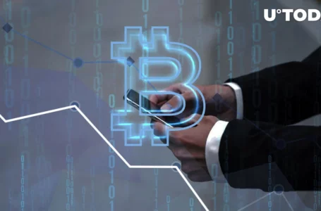 Bitcoin (BTC) Price Dip Would Be Healthy for New Uptrend: Analyst