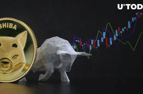 Shiba Inu (SHIB) Charts Bullish Momentum, Here Are Likely Triggers