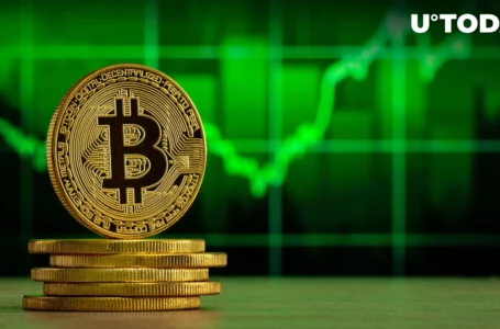 Bitcoin (BTC) Might Hit 500% Growth as This Indicator Flashes