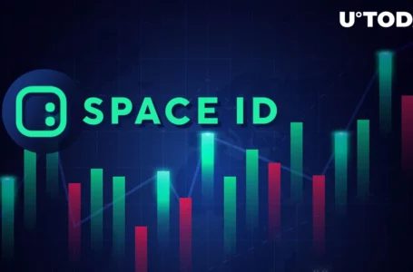 SpaceID (ID) Performs Whopping 120% Surge: Who May Be Behind Price Push?