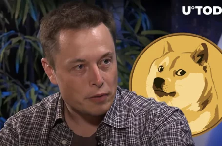 Elon Musk’s Intriguing Tweet Draws Attention of Dogecoin Army: Details