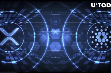 XRP and Cardano (ADA) Global Acceptance Goes Next Level Thanks to This Partnership