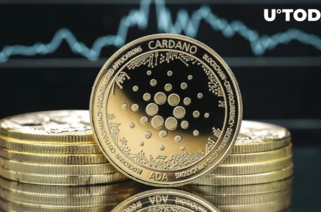 Cardano Loses $1 Billion in Market Cap Following ADA Price Dump: What Happens Next?