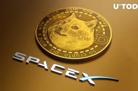 Dogecoin (DOGE) Price Rebounds as SpaceX Confirms: ‘Everything Is Good’