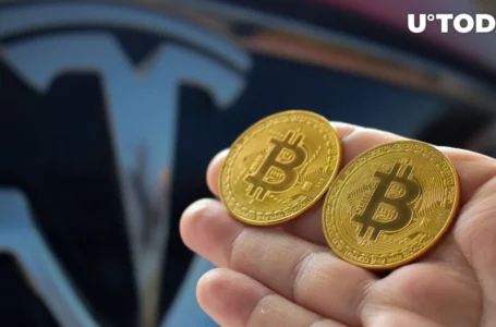 Tesla vs Bitcoin: Hedgeye CEO Highlights “Tight Race” as Both Crash Over 50%