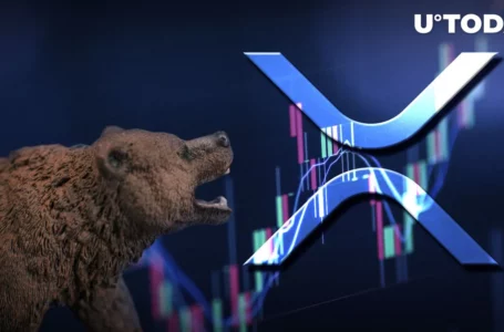 XRP Price Down 5%, Here’s Why Bullish Reversal Is on Horizon