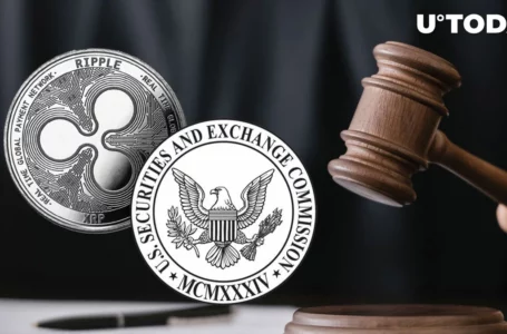 Pro-XRP Lawyer Wishes Anti-Crypto SEC Chair to Be Investigated, Here’s Why
