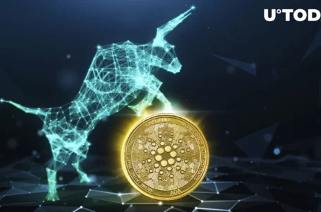 Cardano Bulls Take Hit as Whopping 20.38 Billion ADA Sold Off