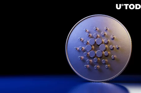Key Cardano Ecosystem Developments Highlighted by EMURGO CEO