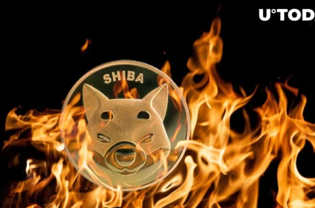 SHIB Burn Rate Spikes 245%, Here’s What’s Happening to Price