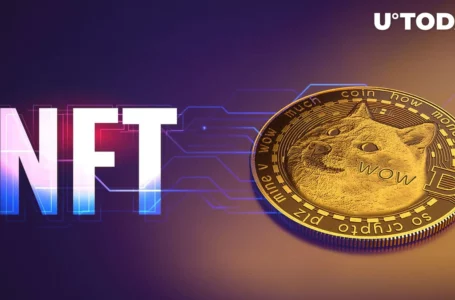 DOGE Founder Slams NFT Investors as Mentally Ill, Here’s Why
