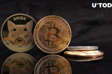 Shiba Inu (SHIB), Bitcoin (BTC) Rank as Most Traded Assets on CoinSwitch: Details