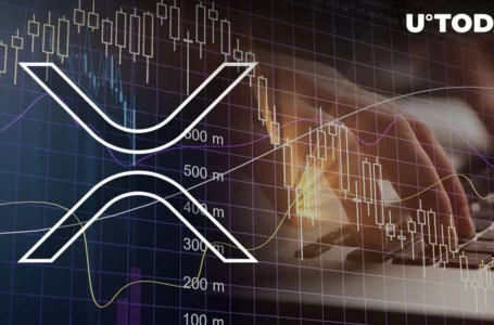 XRP Price Loses Key Support in Market-Wide Slump, Here’s What Might Come Next