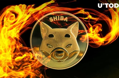 303.7 Million SHIB Burned in Last 7 Days as Burn Activity Faces Decline, so Does Price