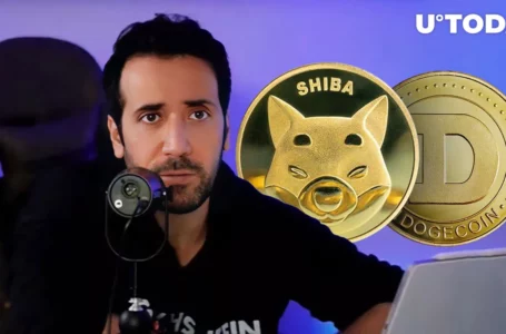 SHIB, DOGE & PEPE: David Gokhshtein Shows Off His Meme Coin Collection