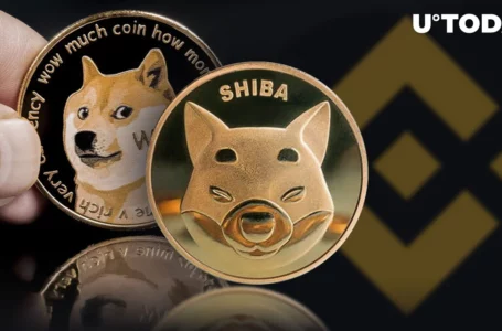 Binance Liquid Swap Adds SHIB/DOGE Liquid Pool and 6 More Assets