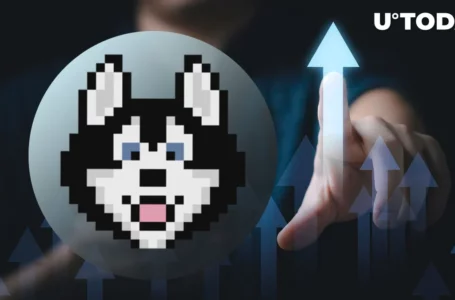 Cardano’s HOSKY Meme Coin Skyrockets Amid Altcoin Turmoil