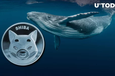 8.36 Billion Shiba Inu Bought by Whales Within Hour on Dip, Here’s What Comes Next