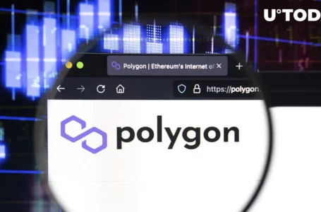 Polygon (MATIC) Records Largest Token Shift by Whales on Network in 2023